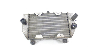 Honda Nss Forza 250 Chłodnica Cieczy Wody