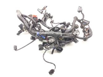Tiger 1200 1215 Electrical Installation Harness
