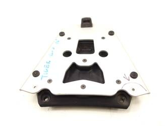 Triumph Tiger 1200 Plate Case