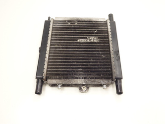 Peugeot Satelis 125 Water cooler